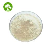 food grade L Arginine powder  l-arginine ethyl ester  99%